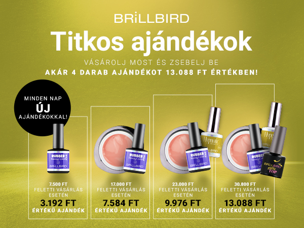 Titkos ajándék 24.